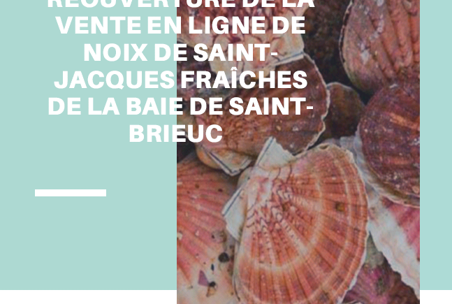 ouverture coquille baie de st brieuc