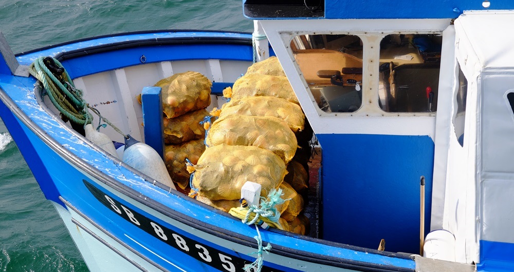 Bateau de pêche à la Coquille Saint-Jacques en baie de Saint-Brieuc