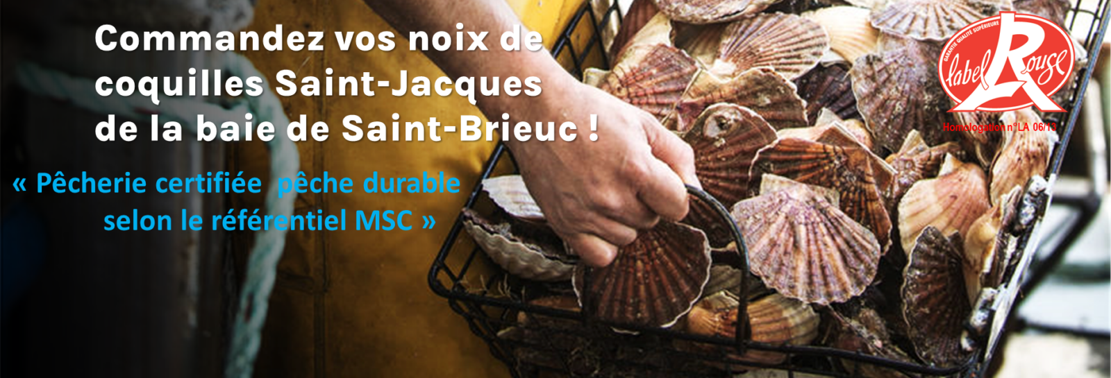 Coquilles Saint-Jacques MSC