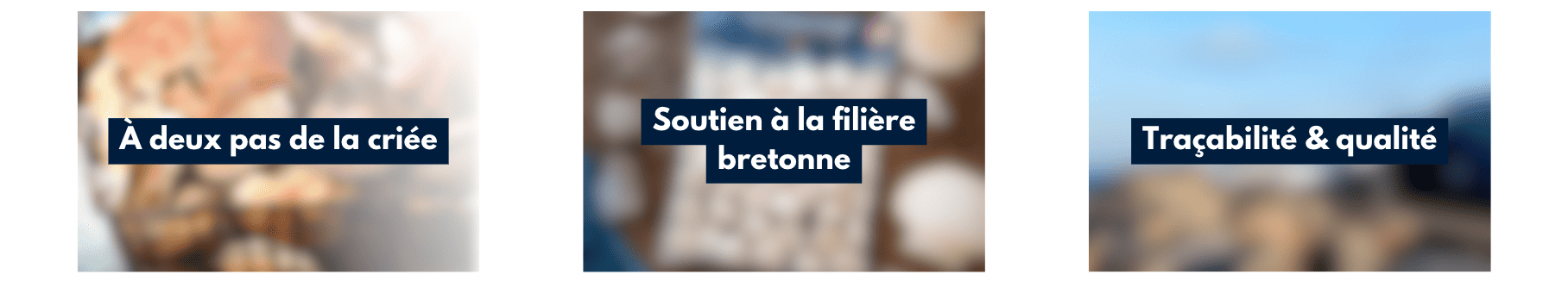 Soutien à la filière bretonne