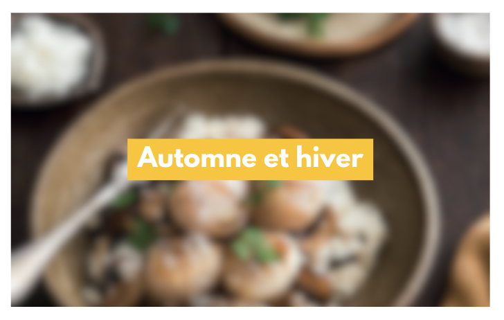 Recettes automne et hiver